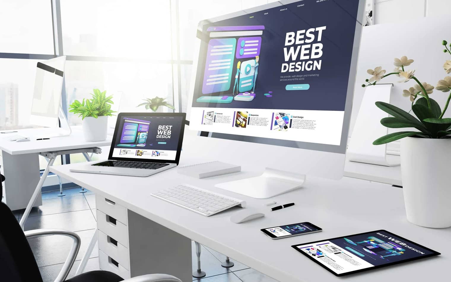 Web Design and Development